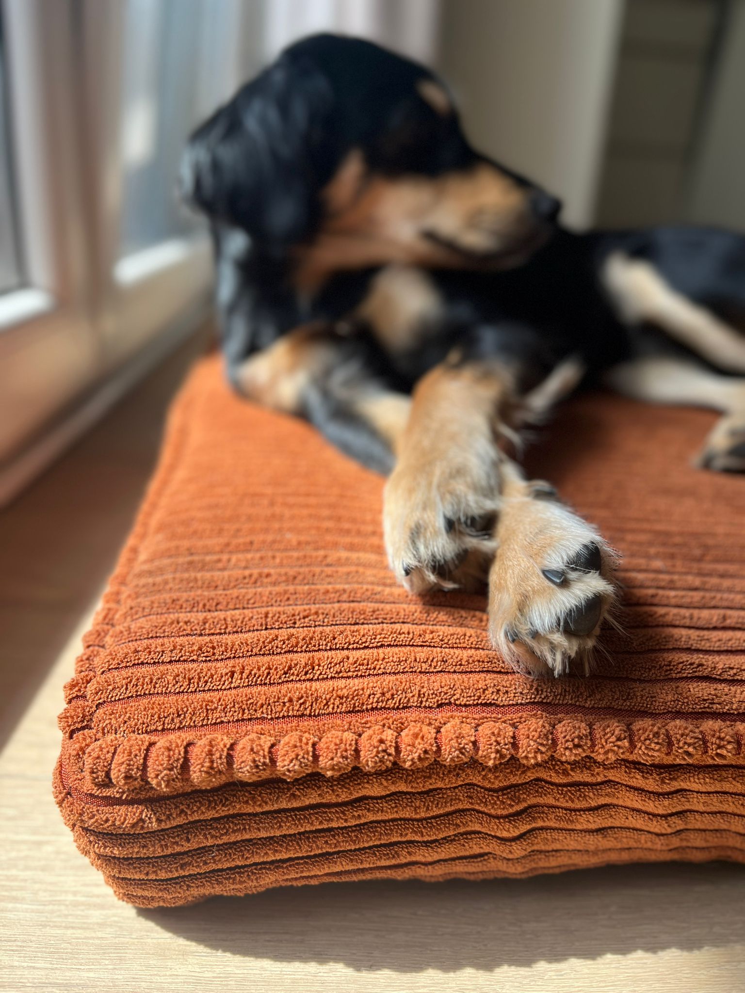 Weicher, pflegeleichter Stoff mit feiner Struktur